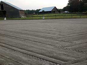 Lesson Heading to Arena at Hidden Creek Dressage