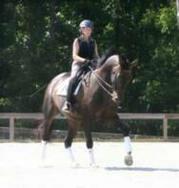 Dressage