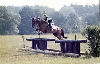 Susan Todd Eventing
